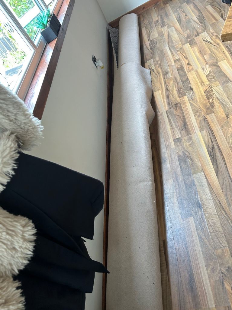 Brand new carpet 