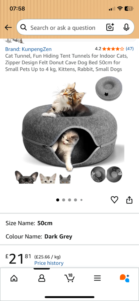 Cat igloo bed and cat tunnel both from Amazon - as new