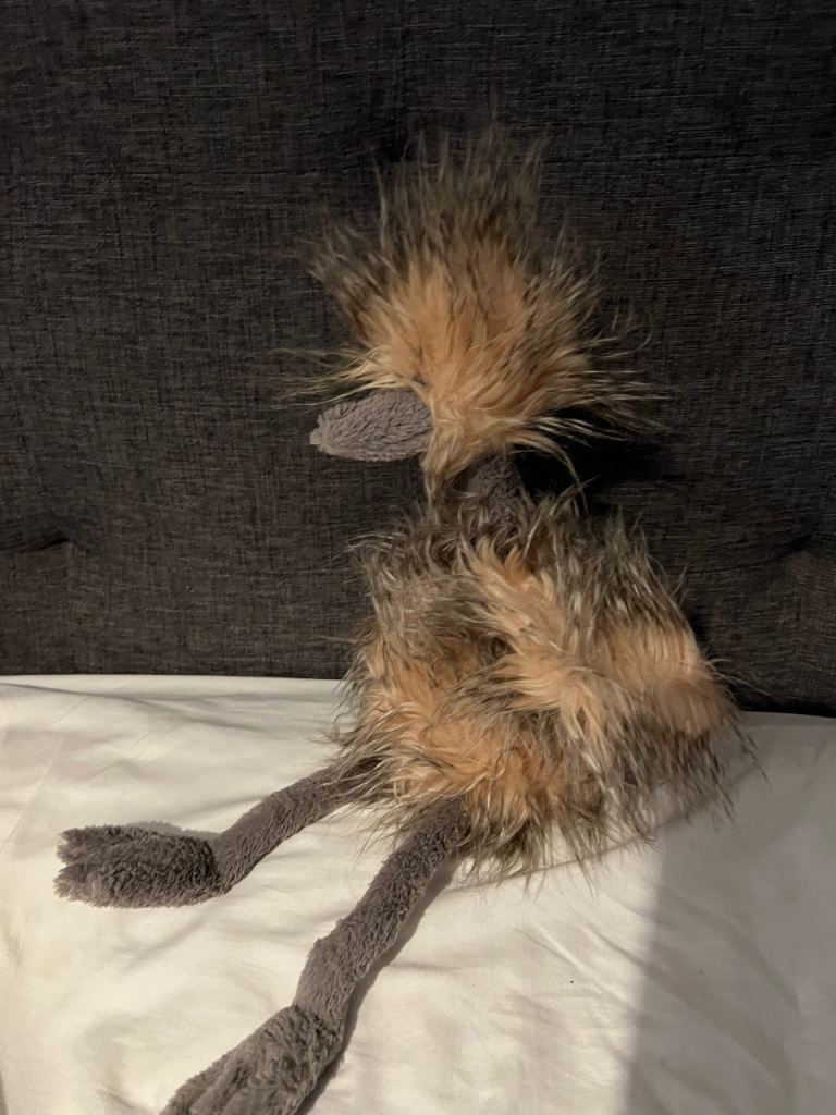 Ostrich jelly cat