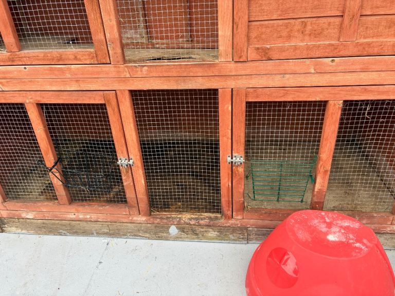 Rabbit and guinea pig hith
