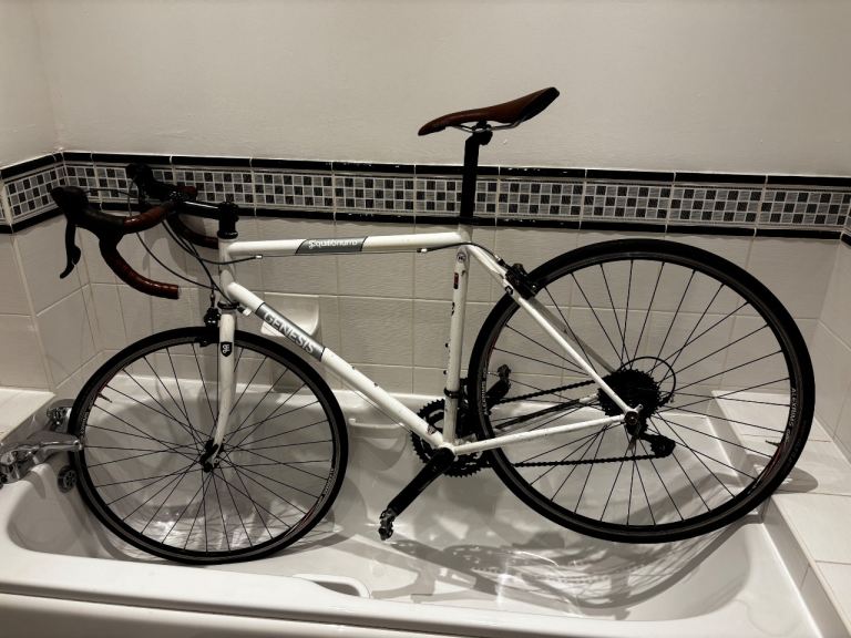 Genesis Equilibrium Road bike