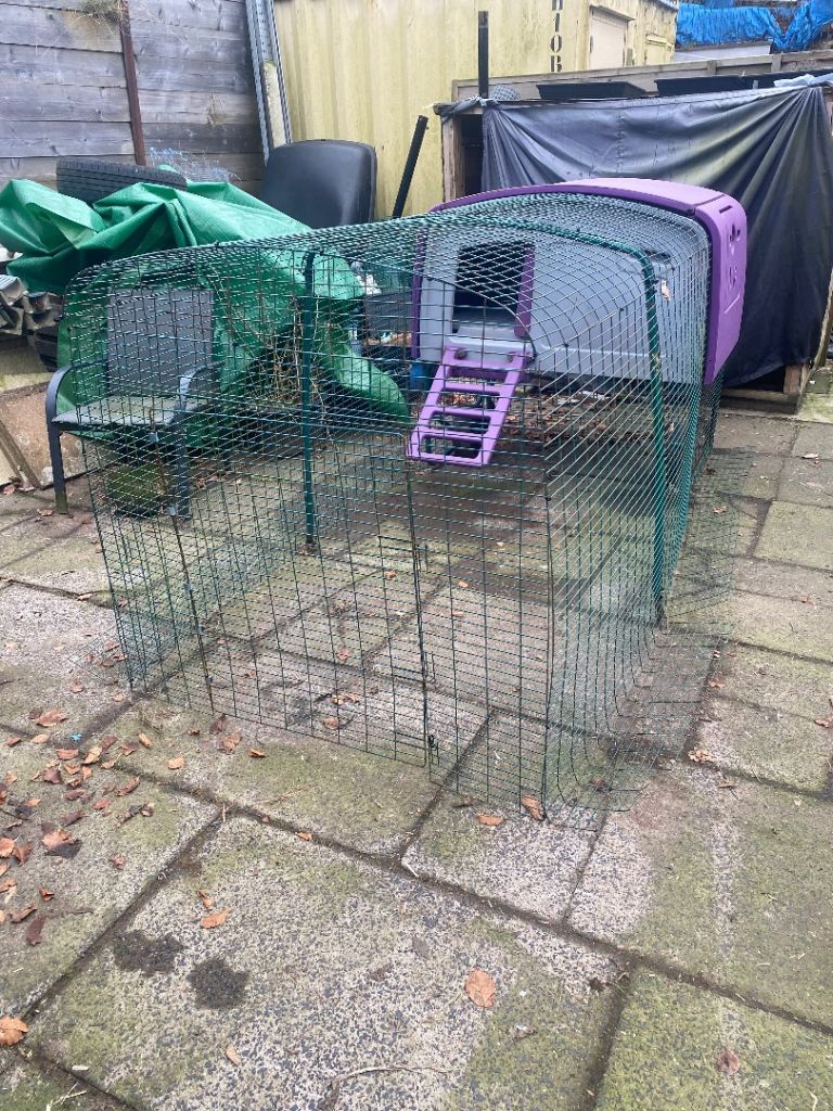 Omlet Eglu cube chicken coop