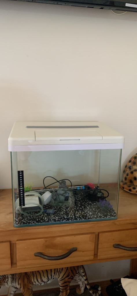 Fish tank 
