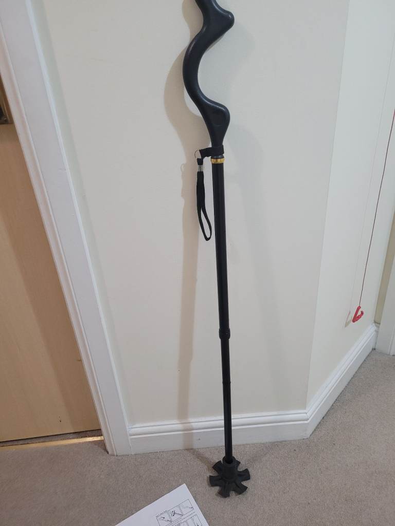 Walking stick 
