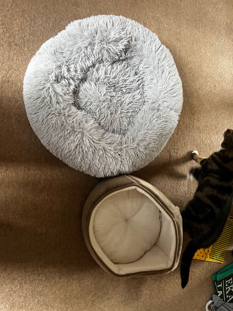 Dog/ Cat Beds - Soft and Cuddly Pet beds