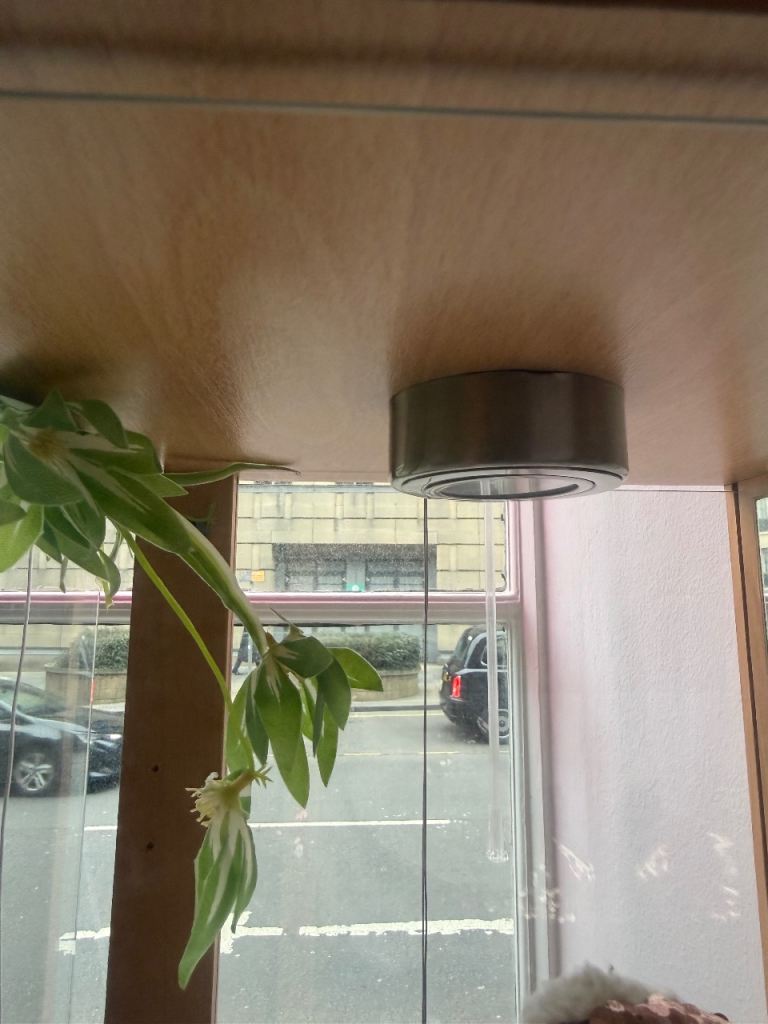 Display cabinet 