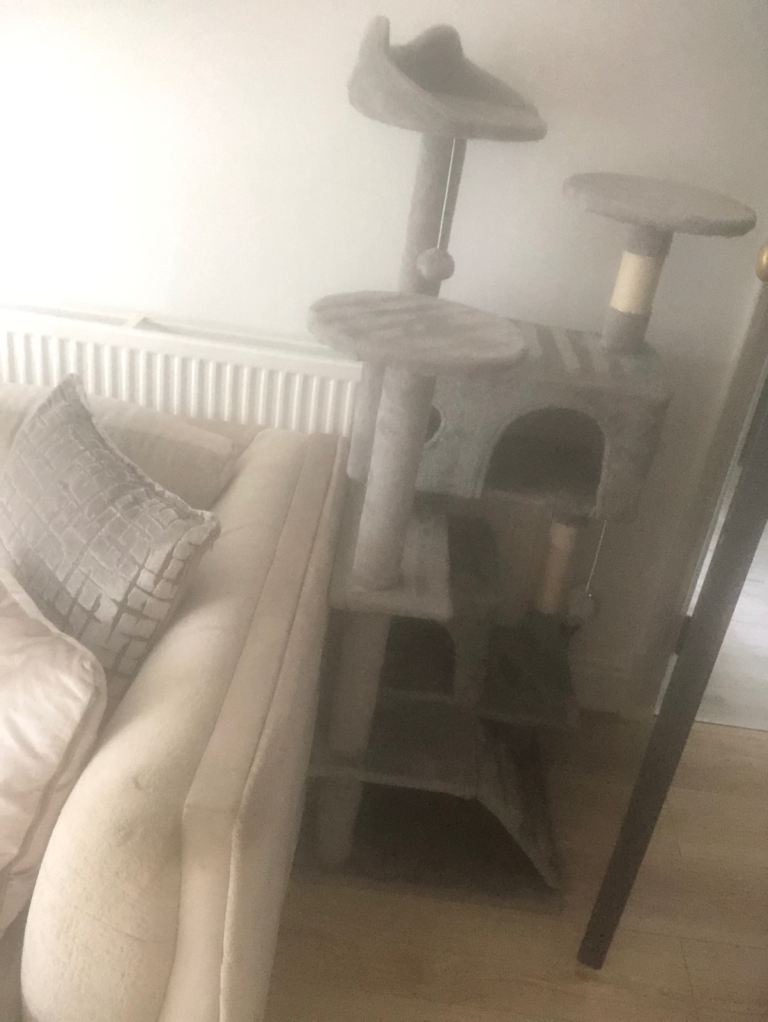 Cat stand 