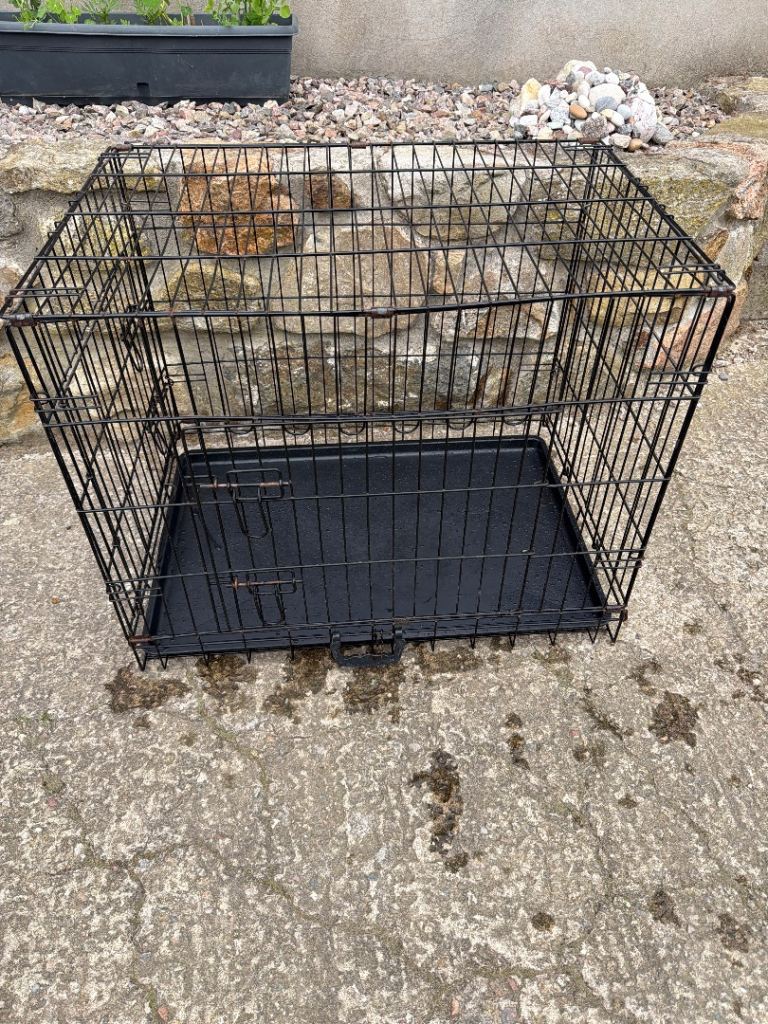 Folding metal dog crate 