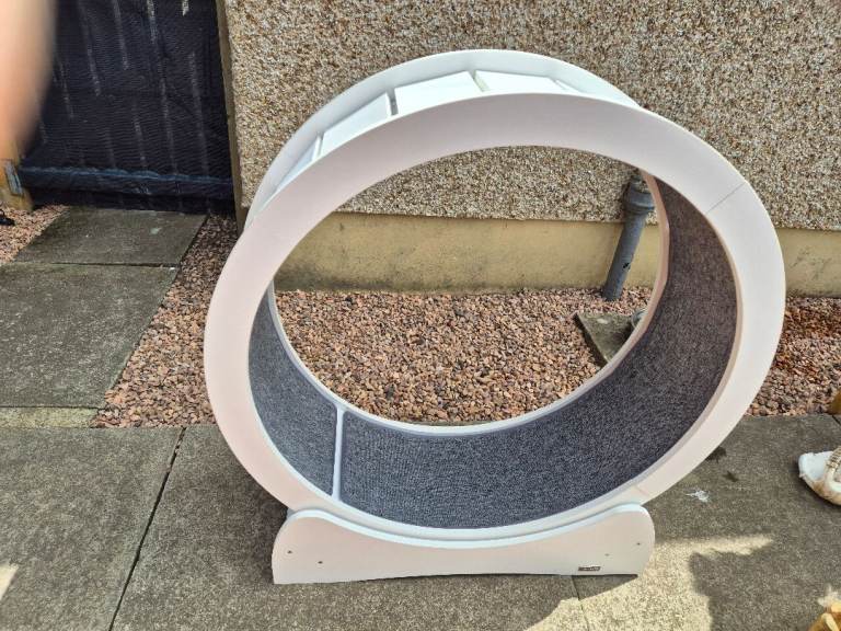 Cattit cat excercise wheel 