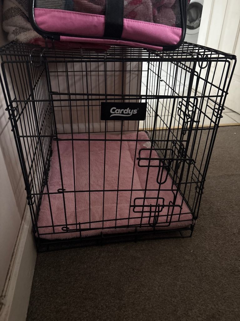 small puppy crate with sleeping mat