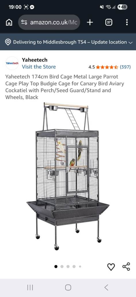 Bird cage 