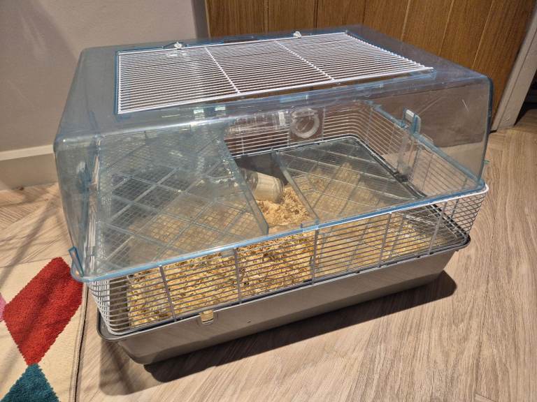 Pets at home plastic home 1 hamster cage