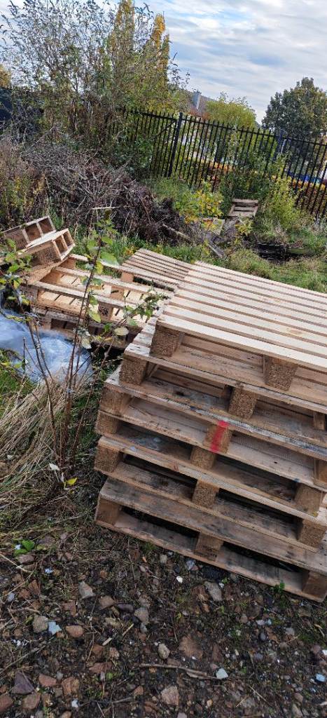 Free pallets 