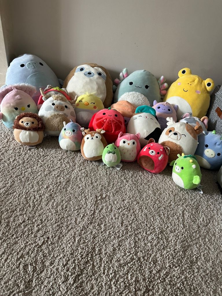 Large bundle 22 Squishmallows 