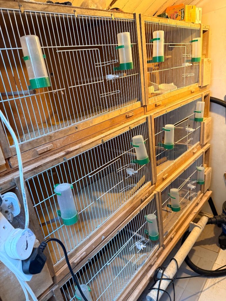 4 x aviary bird cages
