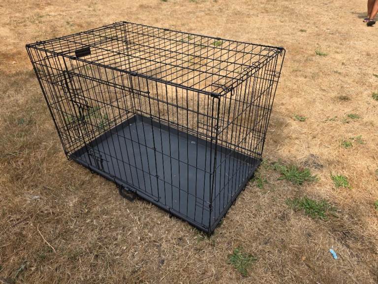 Training dog box 