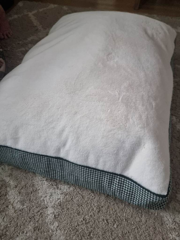 Large dog bed