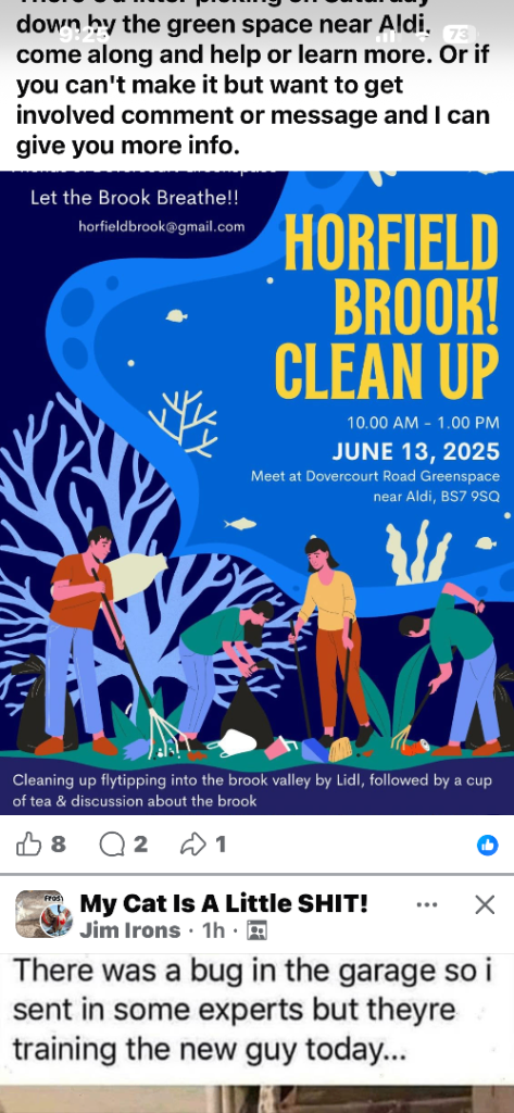 Horfield Brook Clean Up Event - June 13, 2025