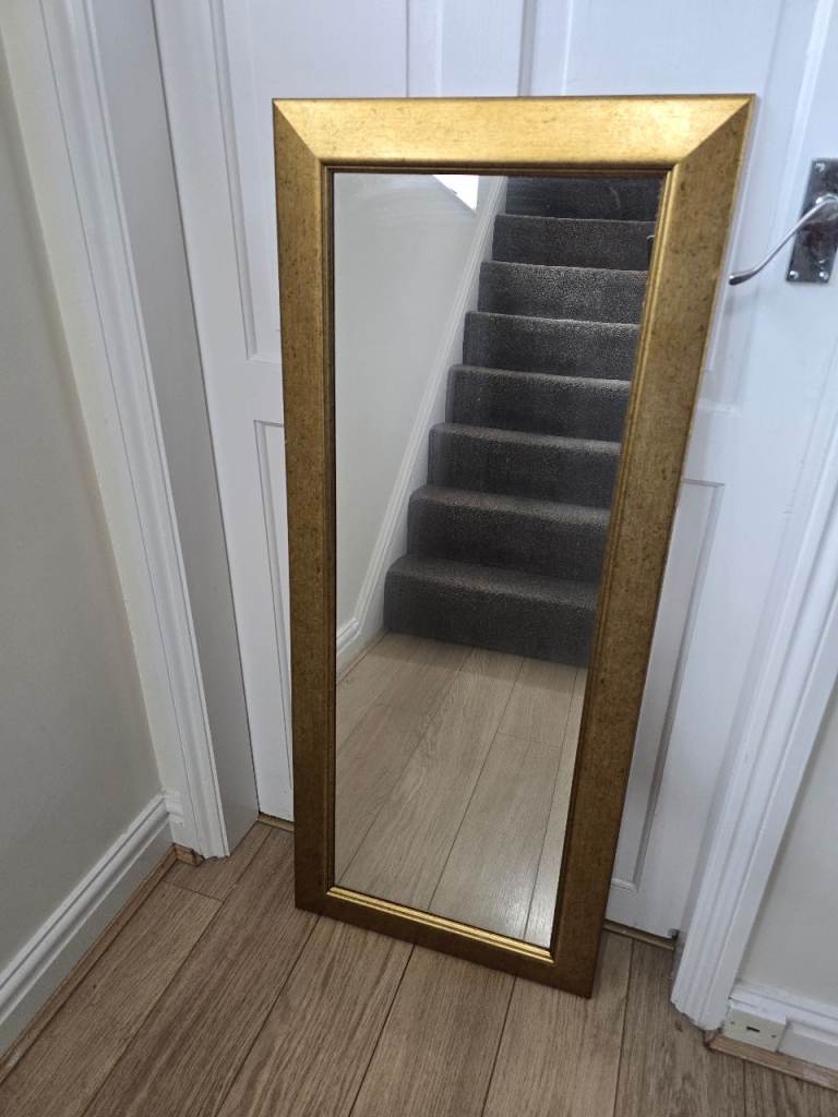 Dunelm Wide Flat Gold Wall Mirror (49 x 114 cm)