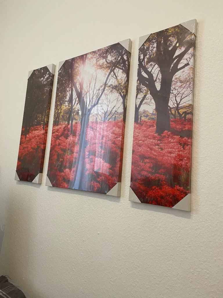 3 New large canvas art pics 