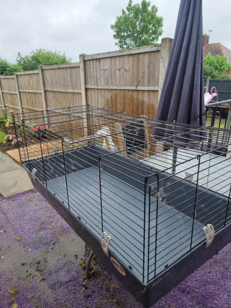 Large rabbit or guinea pig cage 