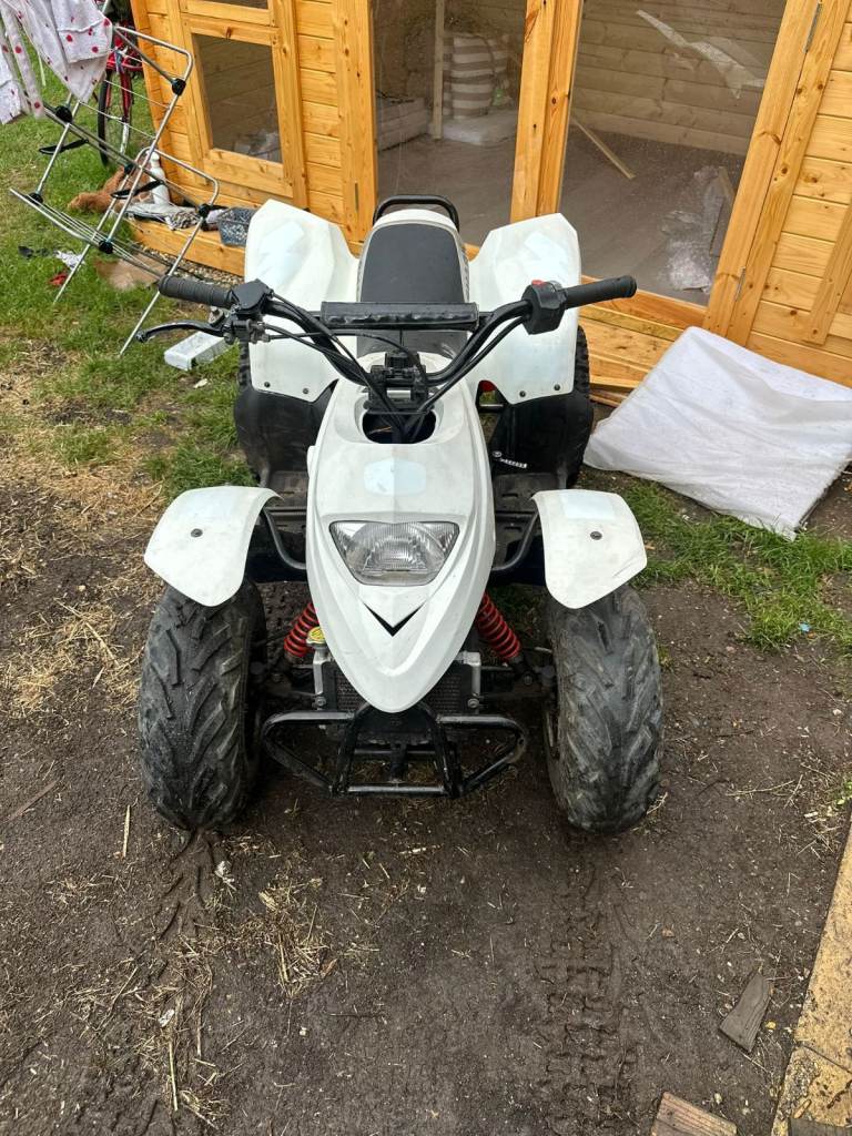 Quad bike quadzilla pro shark 100cc
