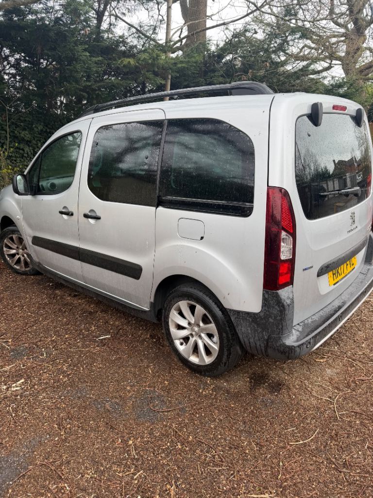 Peugeot PARTNER TEPEE