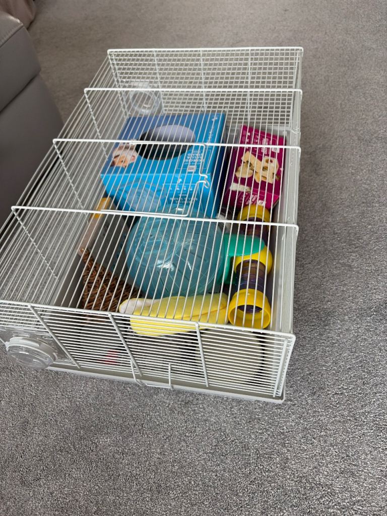 Russian Hamster cage and accessories. 