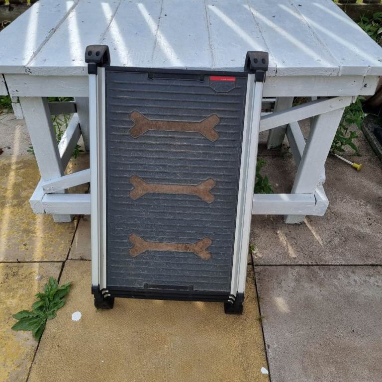 car dog ramp