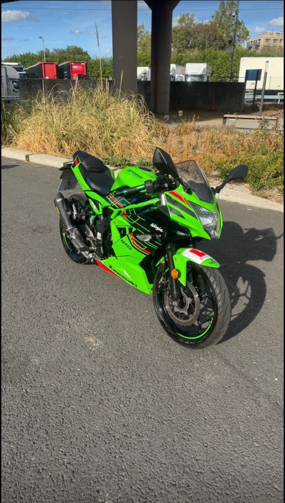 Kawasaki, NINJA, 2024, 125 (cc)