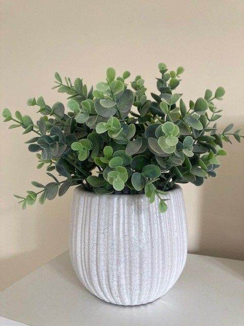 Artificial Eucalyptus Plant in White Ceramic Pot