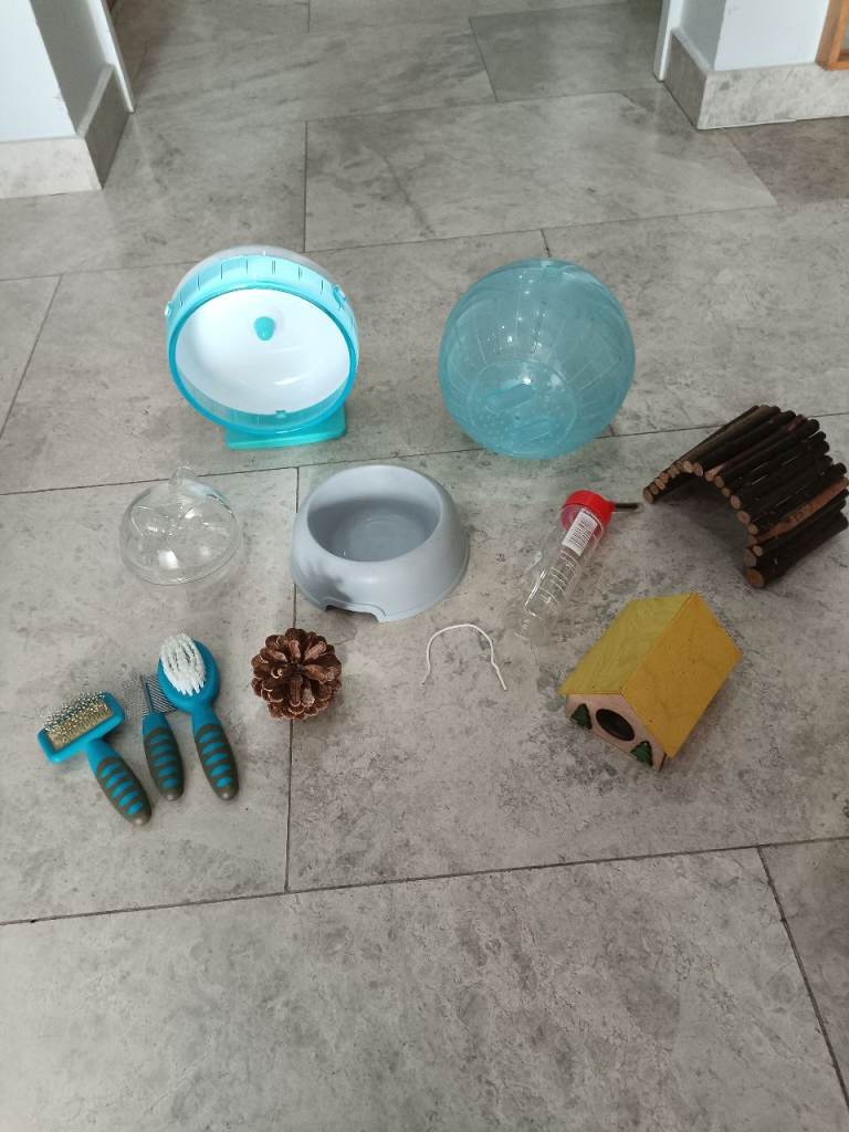Hamster accessories 