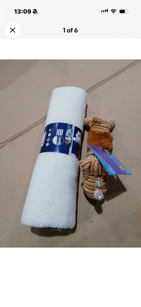 Self heating mat and dog toy