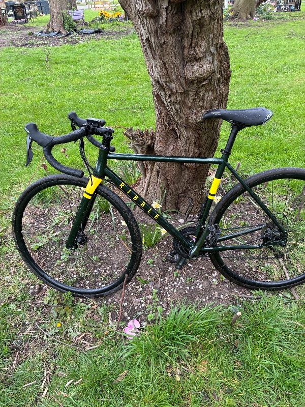 Ribble endurance 725