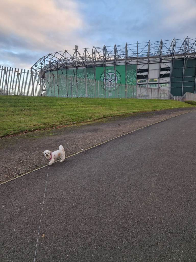 Driver labourer to roughcaster
