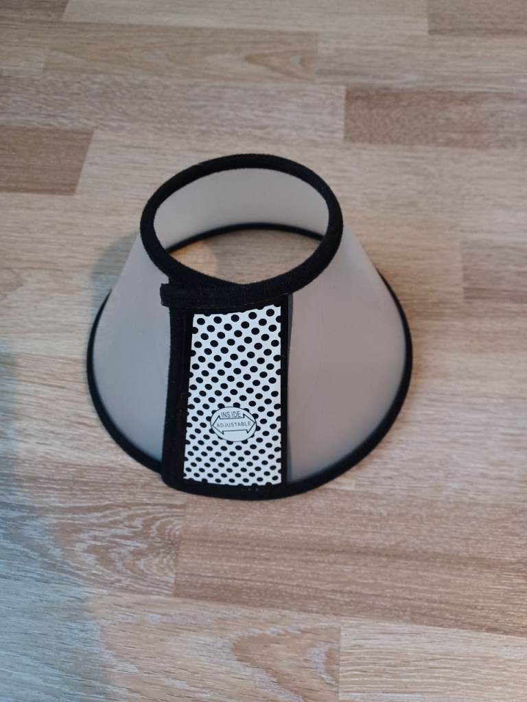 Protective collar/cone for cats or very small dogs