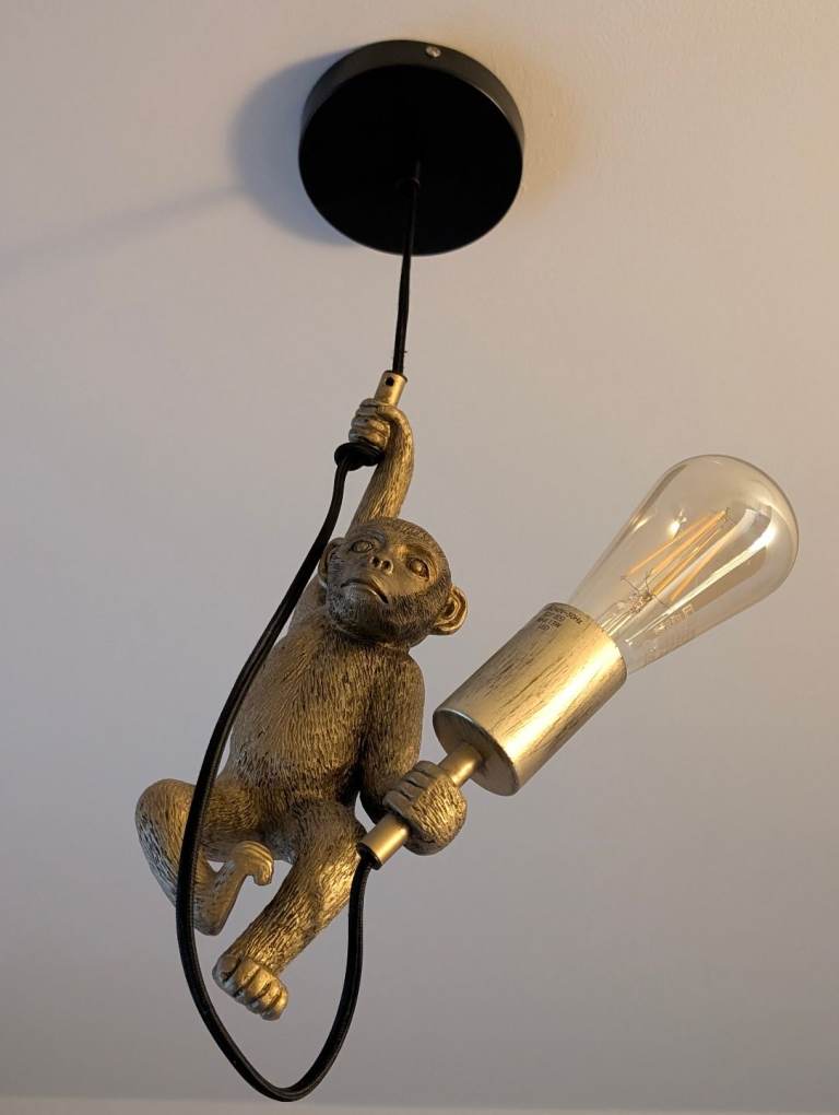 Monkey ceiling light