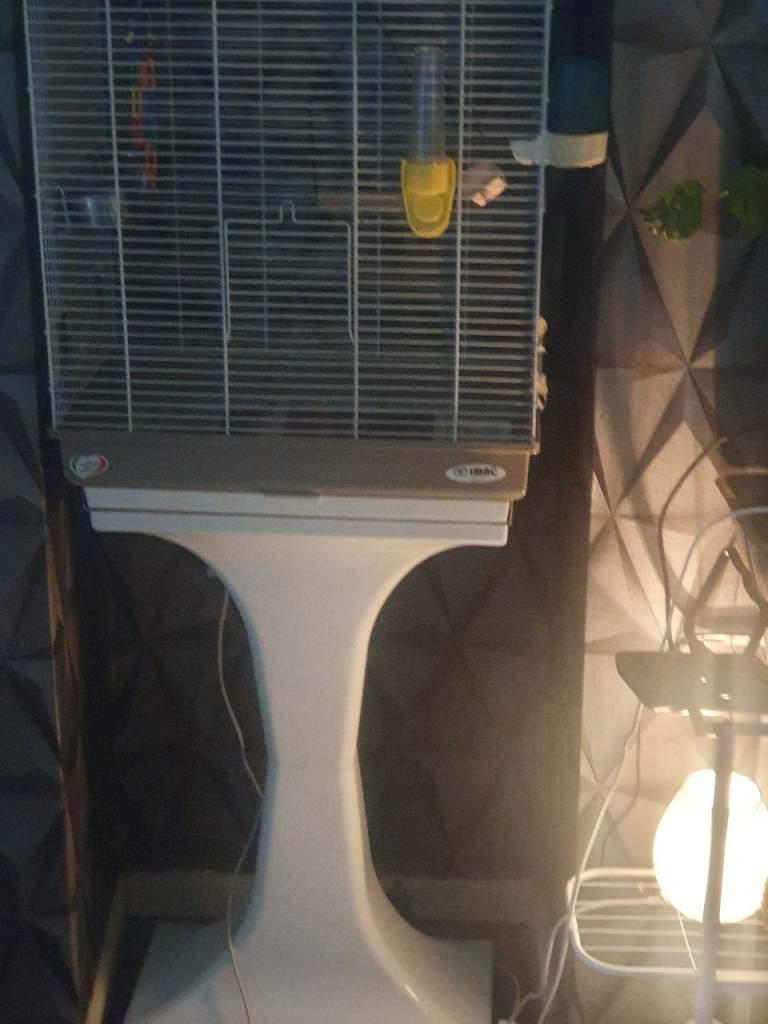 Burd cage