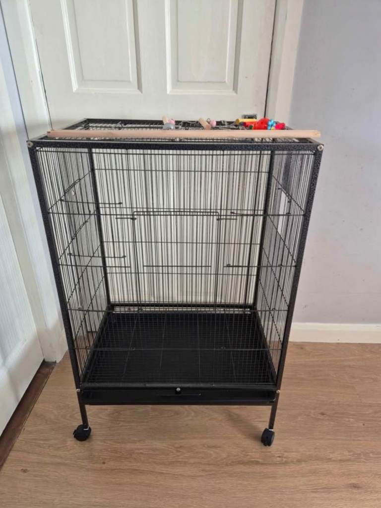 Large budgie cage