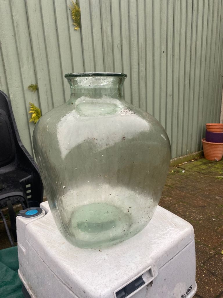 Vintage plant terrarium 