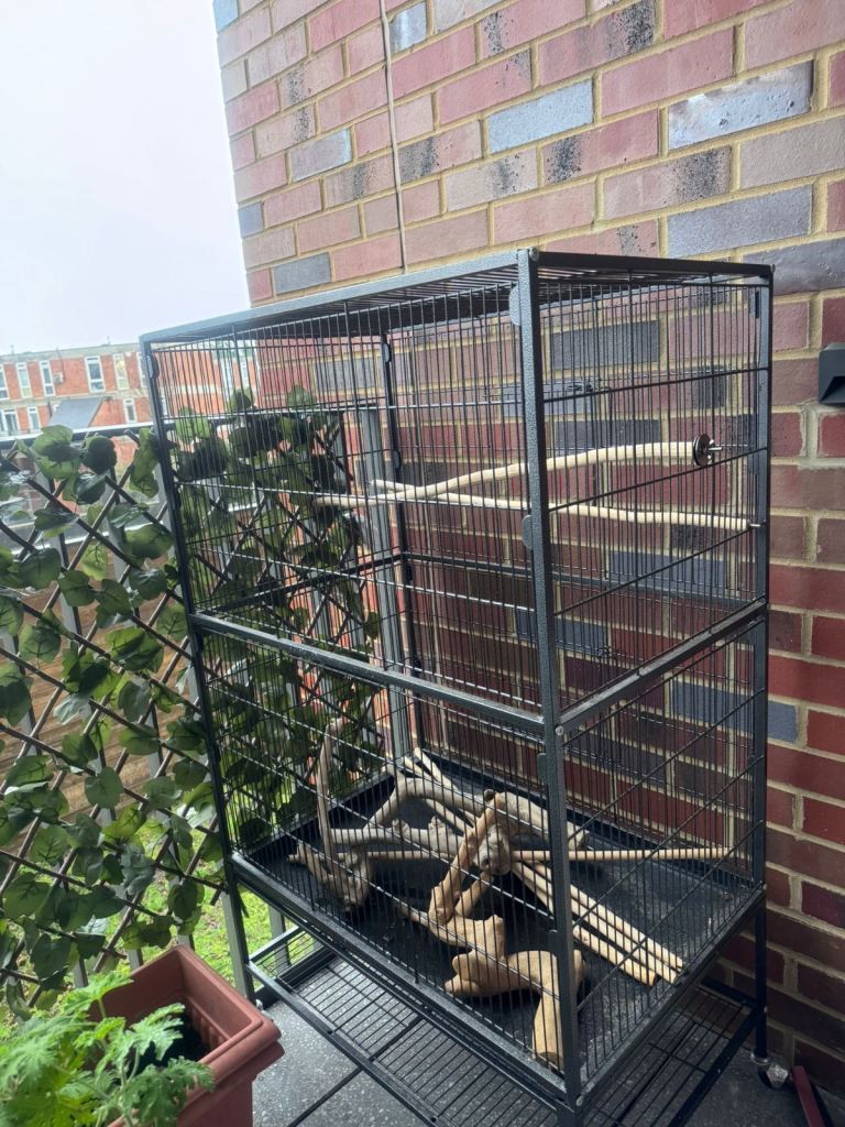 132cm safe bird cage for budgies, cockatiels and other small birds- COMES WITH MANY ACCESSORIES