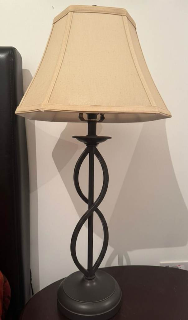 Sculptural Iron "Infinity Loop" Table Lamp