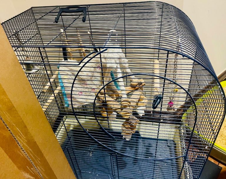 Bird cage