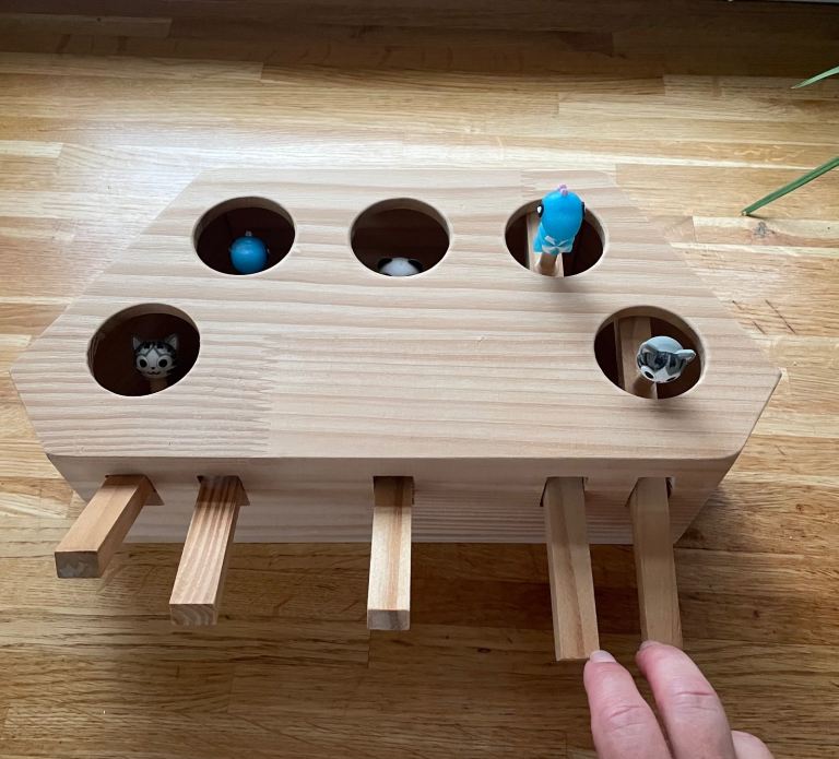 Interactive Wooden Cat Puzzle Toy
