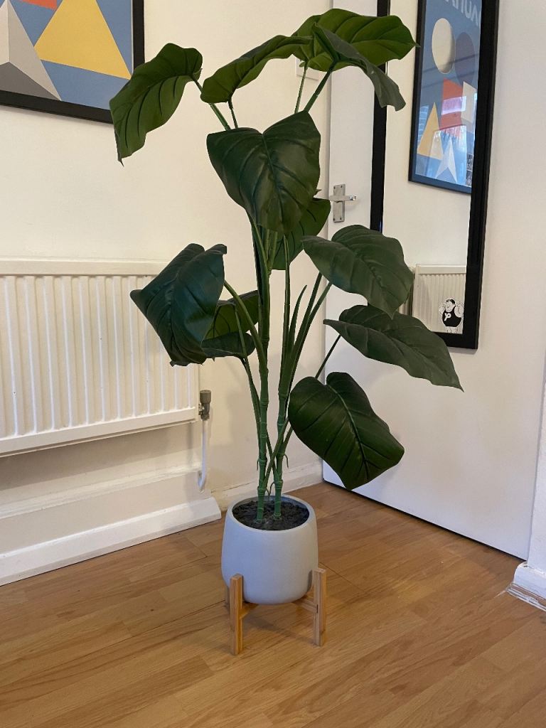 image for Large Plant with Pot 