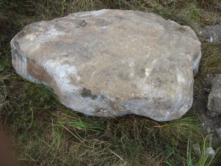 Large pond/ornamental garden boulder
