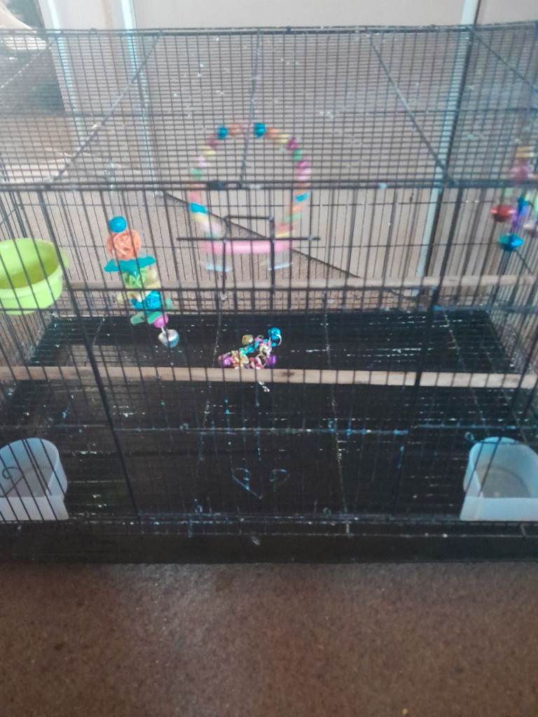 Large finch/canary cage 