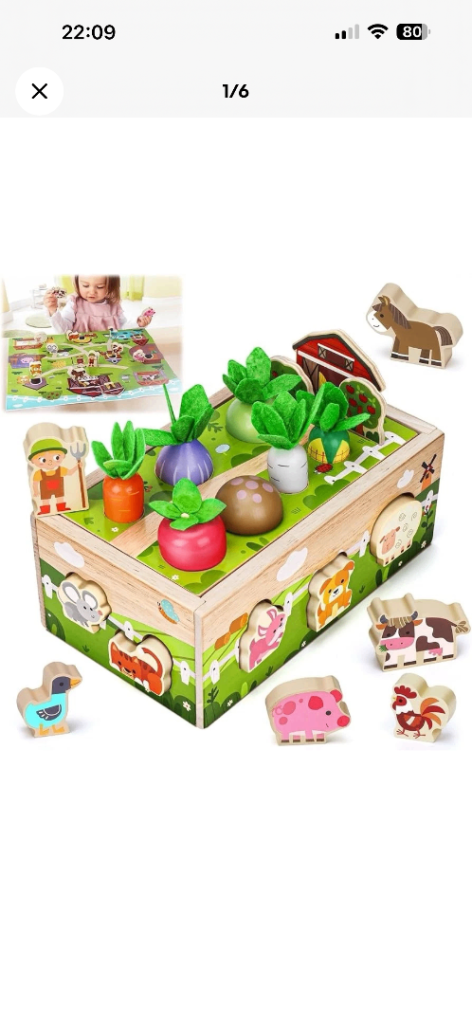 Wooden Farm Garden Harvest Toy for Toddlers – As Good As New