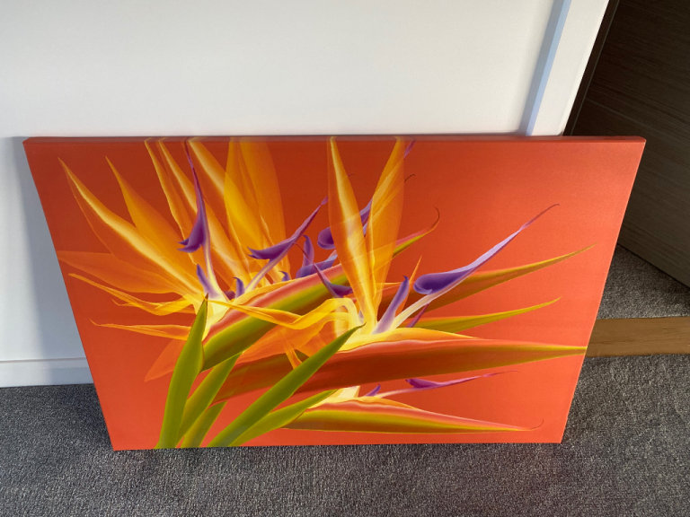 Canvas print - Birds of paradise 