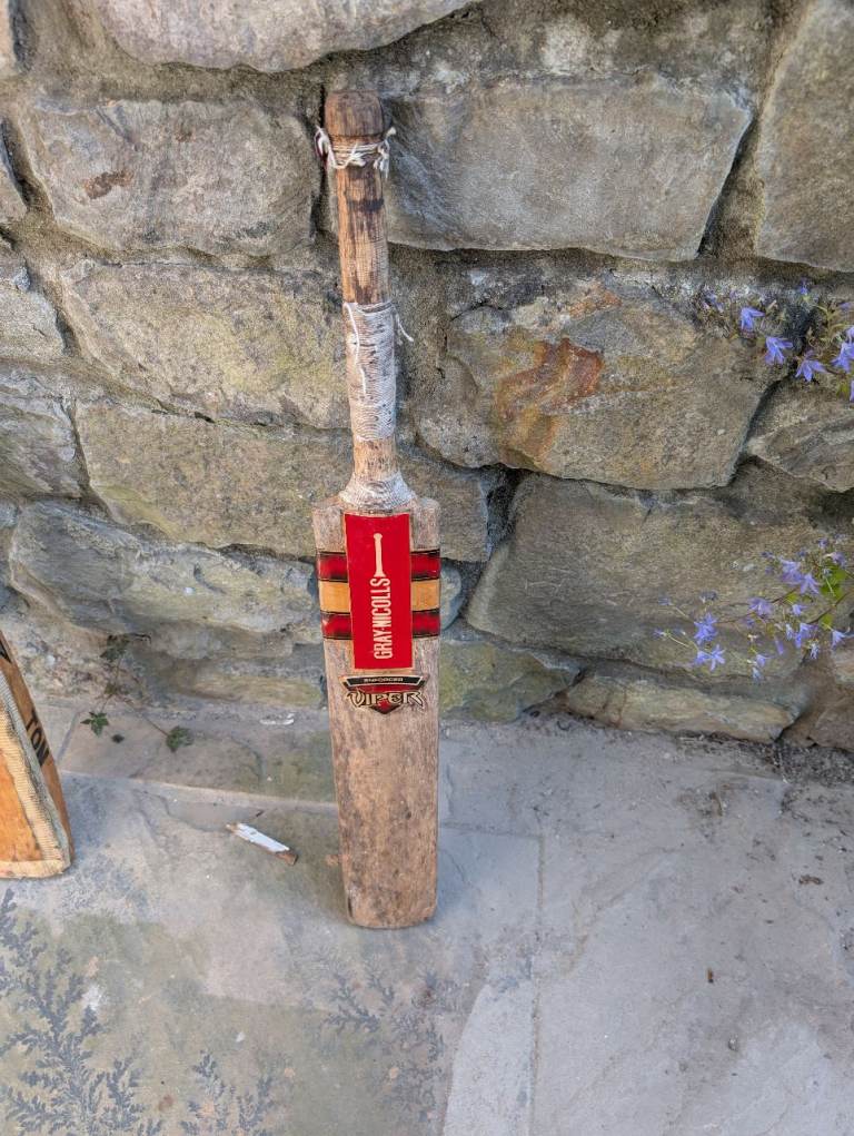 Cricket bat gray nicolls viper